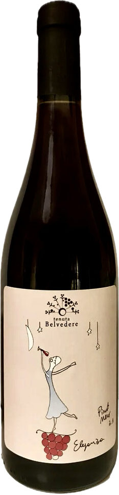 Pinot nero eleganza 2023