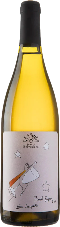 Pinot grigio 2024 provincia di Pavia IGT