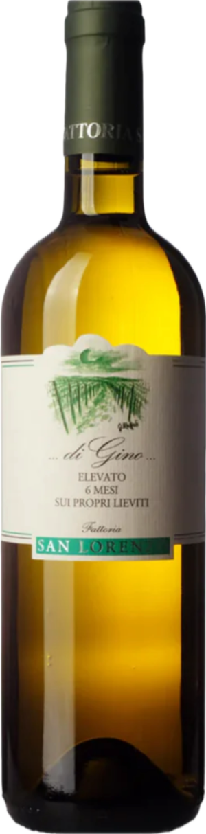 verdicchio bianco di Gino 2023