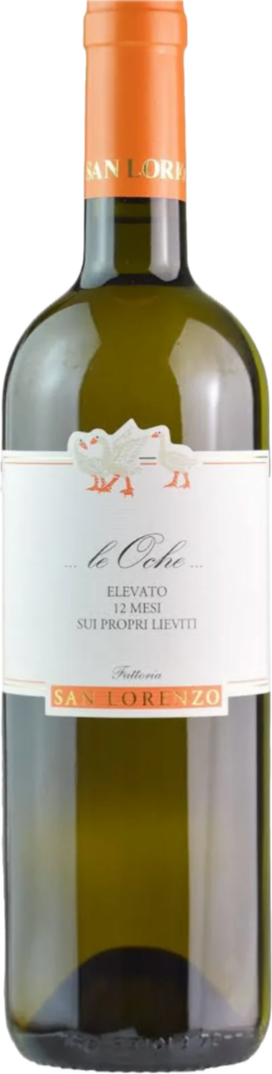 verdicchio le oche 2021