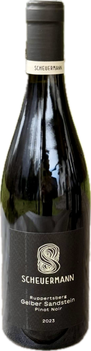 Pinot noir Ruppertsberg Gelber Sandstein 2023