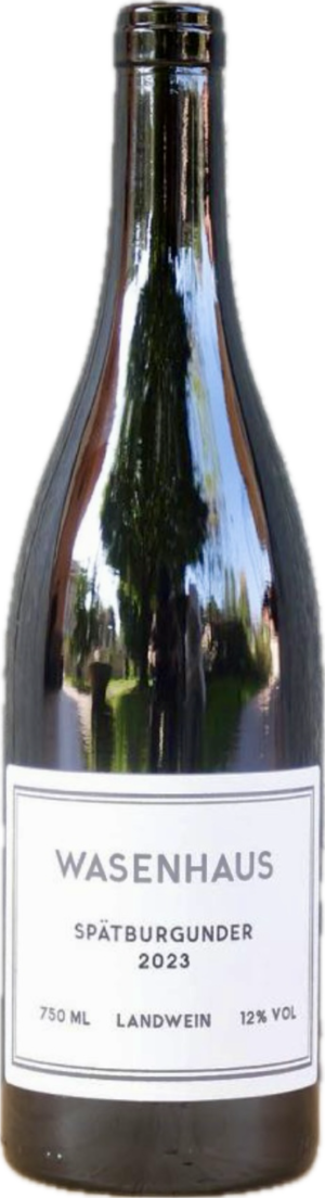 Spatburgunder pinot noir 2023