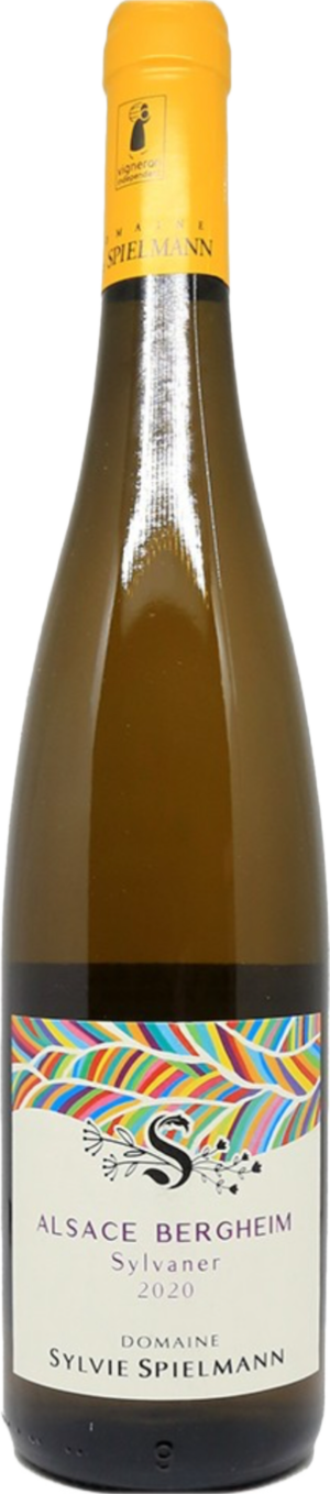 Alsace Bergheim sylvaner 2019