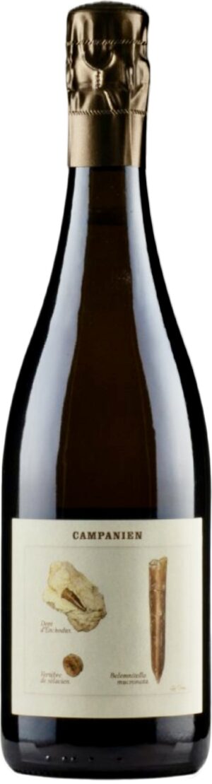 Campanien  brut nature v18