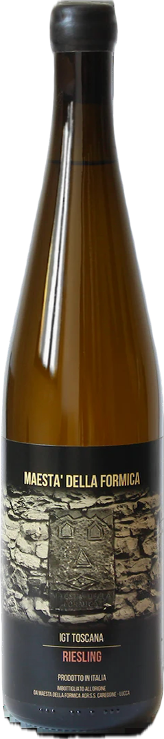 Riesling Toscana igt 2022