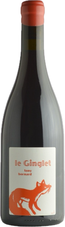 Le ginglet 2019 MAGNUM