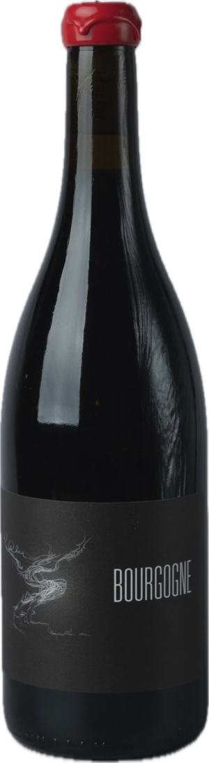 Bourgogne lazaro 2023