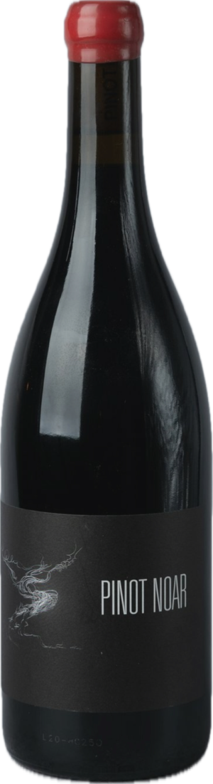 Hautes cotes de nuits Pinot noir 2023