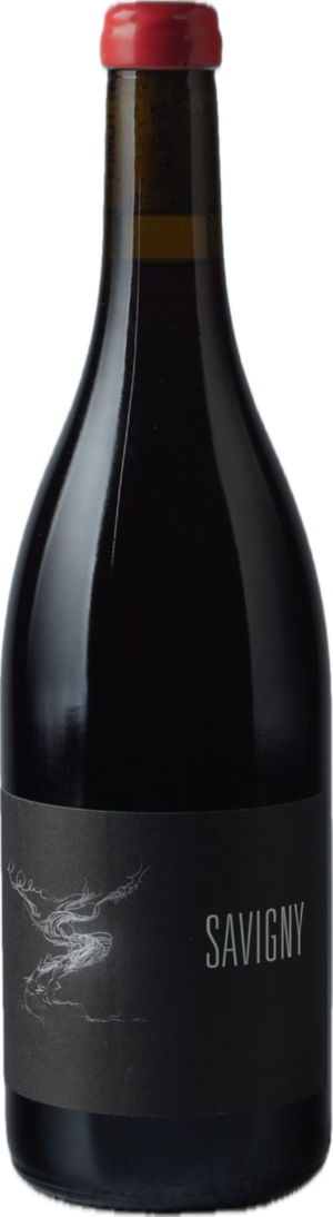 Savigny Les Beaune 2023