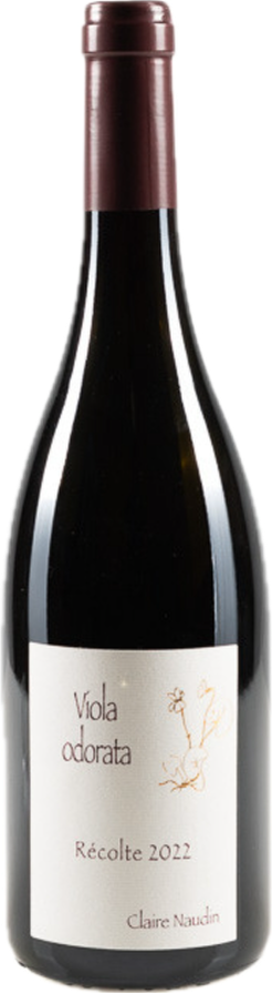 Cote de Nuits-Villages Viola Odorata Vieilles Vignes 2022