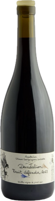 Coteaux Bourguignons Fruit Défendu 2023