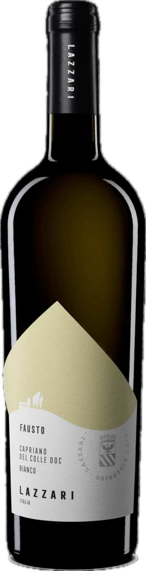Verdicchio turbiana “Fausto” 2024 capriano del colle DOC