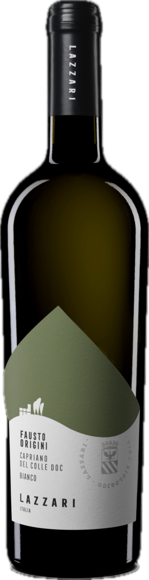 Verdicchio turbiana “origini” 2024 capriano del colle DOC