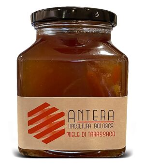 Bottega